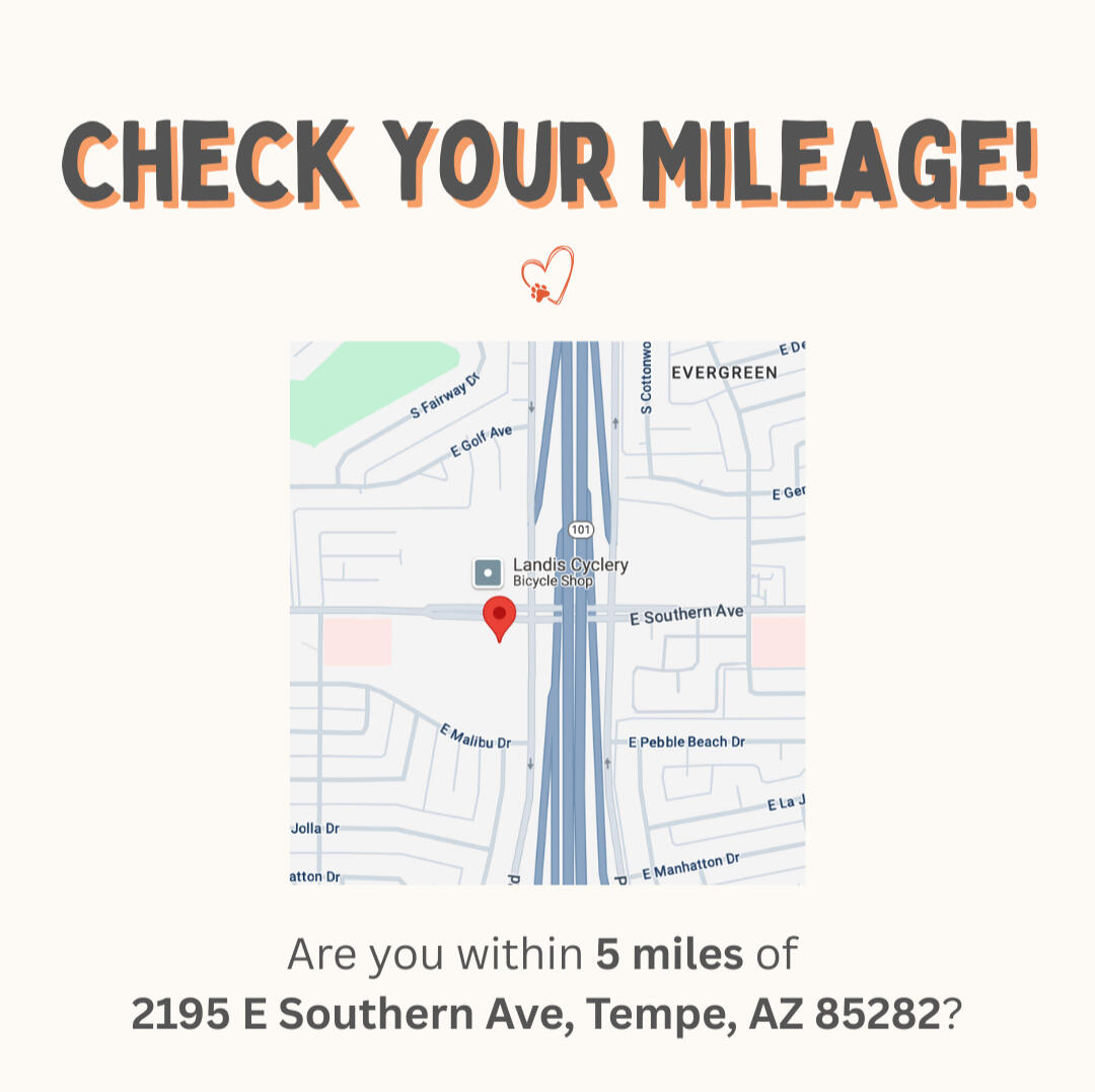 Tempe, AZ in-home pet sitting service area near Southern & Priest—see if you're within 5 miles for expert care of dogs, cats, birds, and exotic pets.